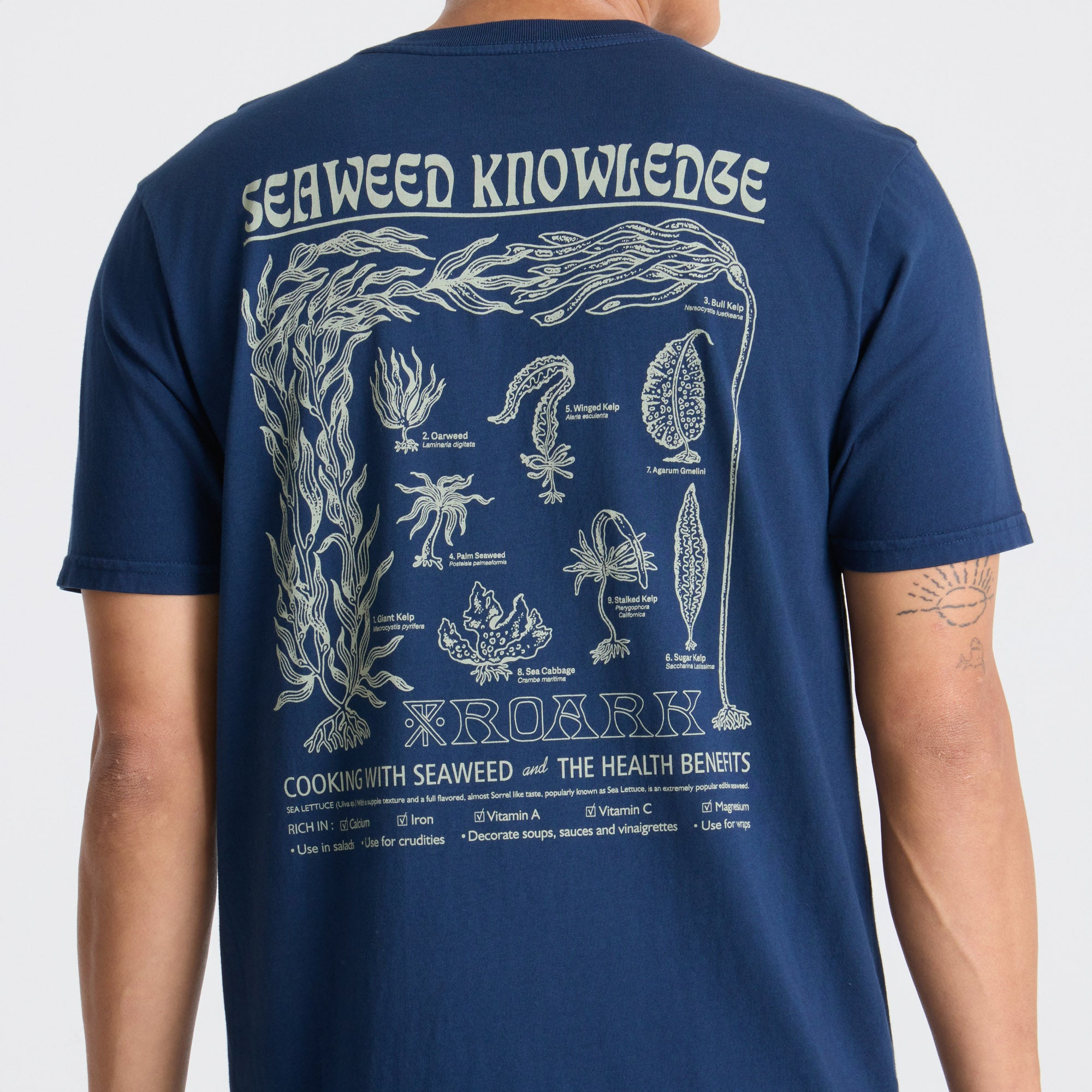 POLERA PREMIUM SEAWEED KNOWLEDGE NAVY